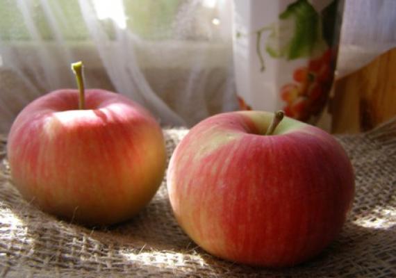 Как хранить яблоки зимой дома